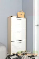 Обувница Мебелеф-10