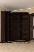 Радиусный шкаф-купе Мебелеф-19 Коричневый 